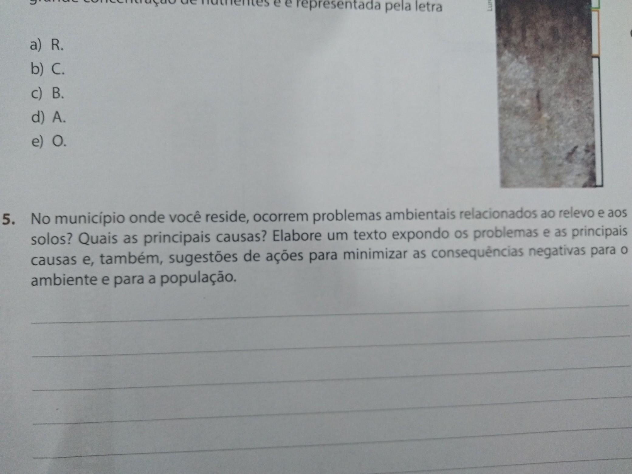 Ajuda ai galera, Fazer um texto ​