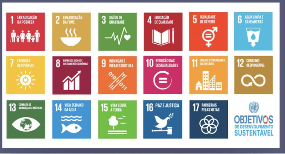 2- Numa perspectiva até 2030c qual ( quais) dos objetivos e