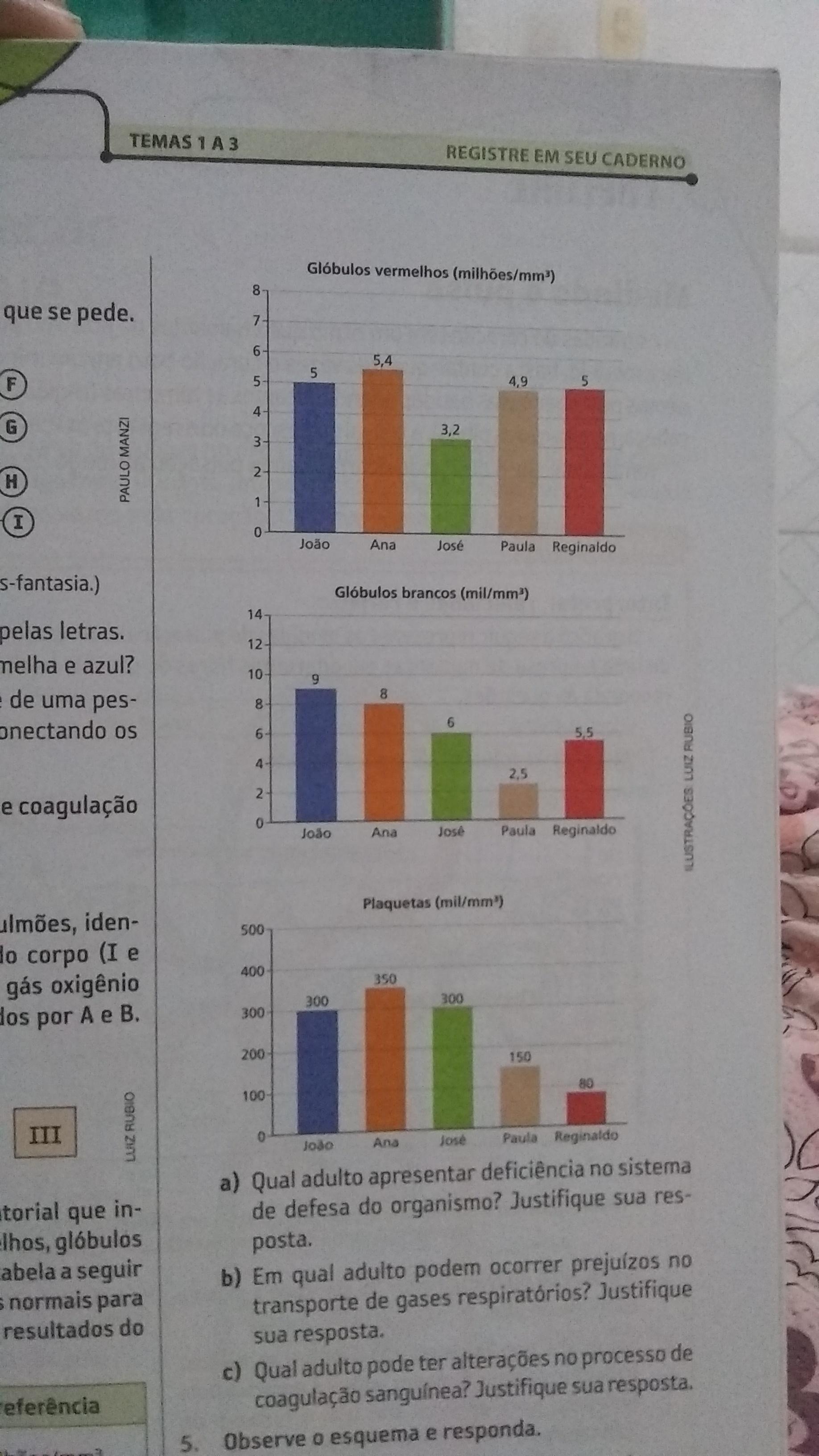 Observe a imagem a seguir e faça oq pede .