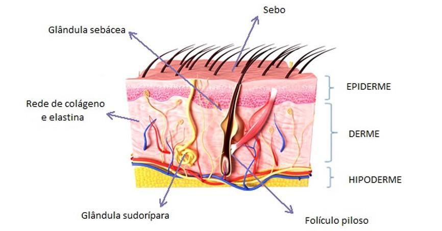 Salva Eu