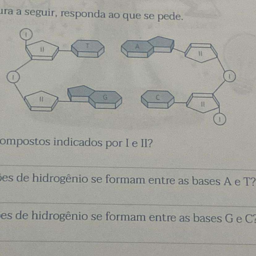 3. Com base na figura a seguir, responda ao que se pede.a) Quais são os compostos indicados por I e II?b) Quantas ligações