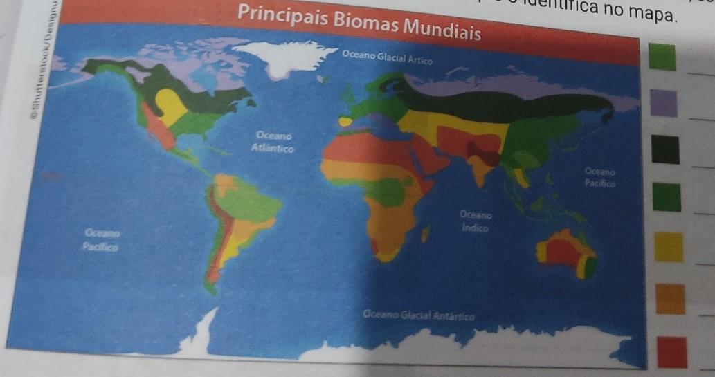 No mapa abaixo, estão representados os biomas mundiais. Ao lado dele, escreva legendas com o nome de cada bioma de acordo com a cor que o identifica no