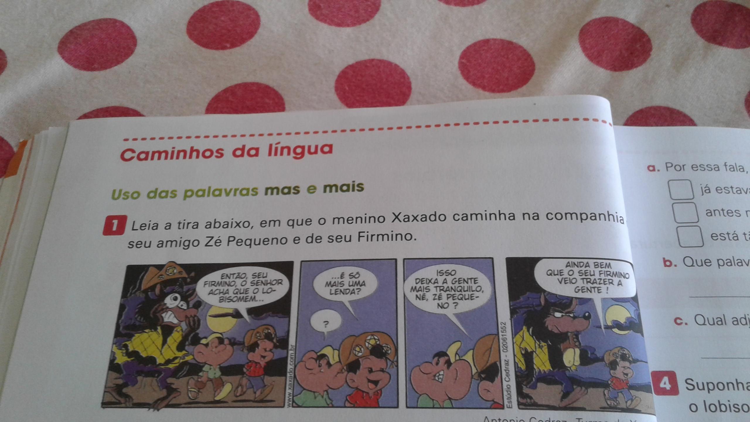 C. Oque provoca o humor nessa tira?