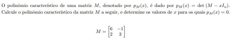 O polinomio caracteristico de uma matriz M, denotado por pM(