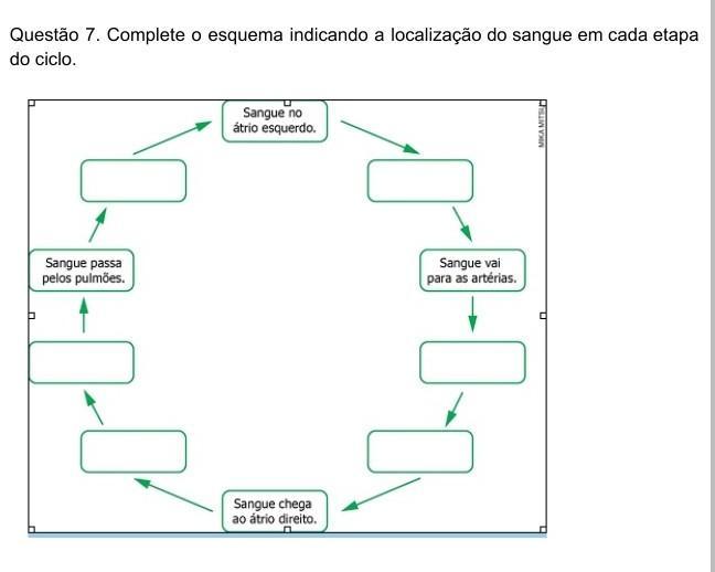 complete o esquema indicado a localização do sangue em cada etapa do ciclo ______me ajudem por favor​