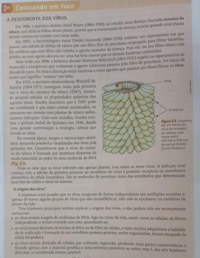 Como foram observados e como era a estrutura dos primeiros vírus observados?